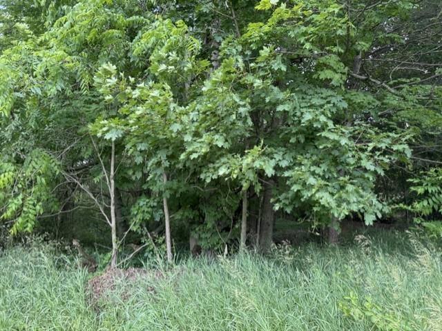 Land for sale in Stanton, Michigan