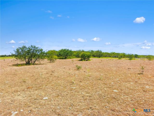 Land for sale in Moody, McLennan County