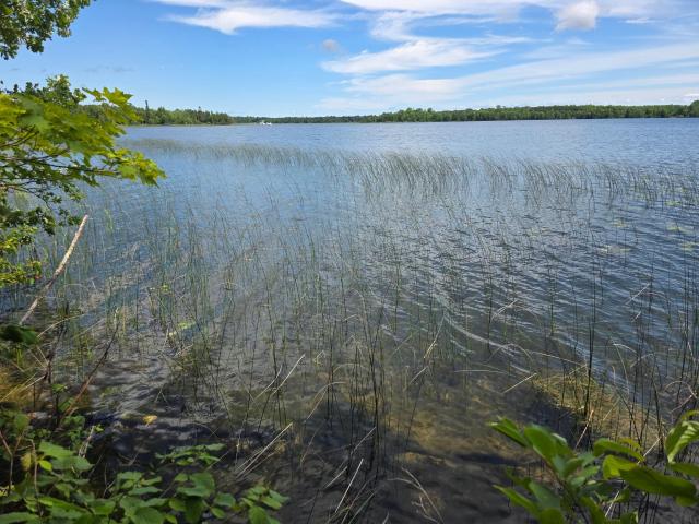 Land for sale in Beltrami, Minnesota