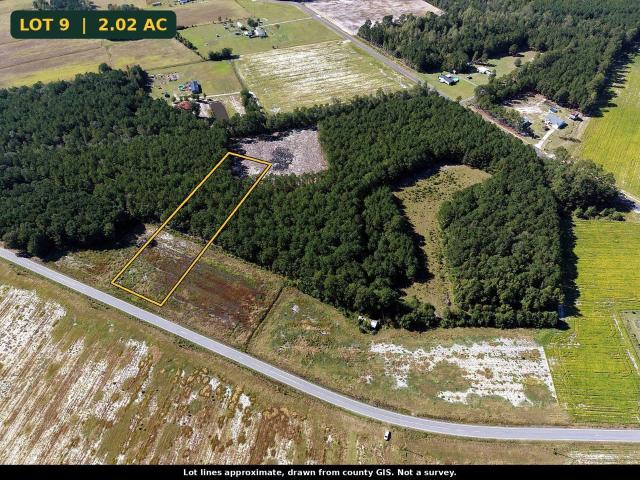 Land for sale in Nichols, Horry County