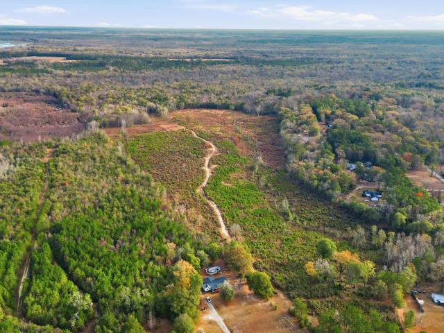 Land for sale in Pamplico, South Carolina