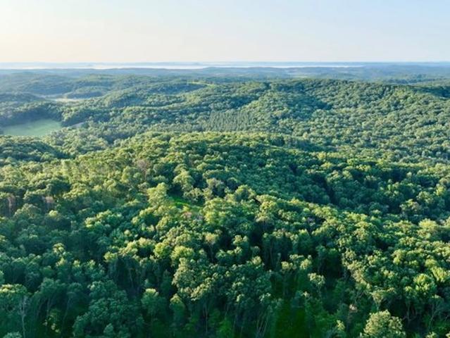 Land for sale in Hixton, Wisconsin