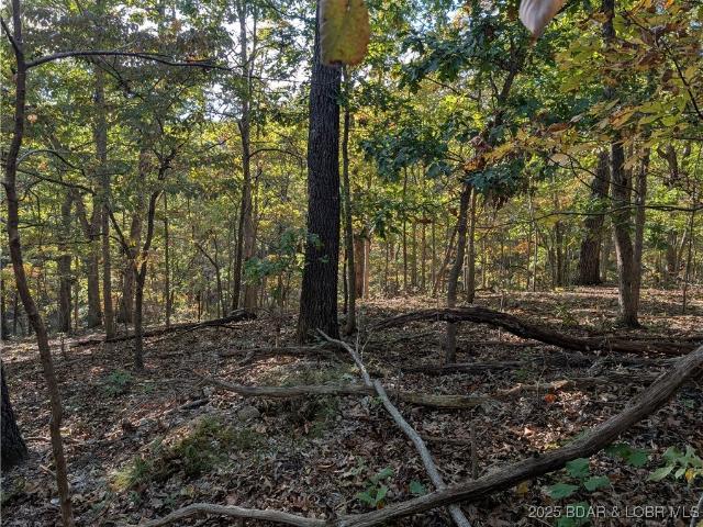 Land for sale in Sunrise Beach, Missouri