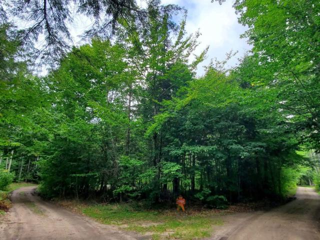 Land for sale in Au Train, Michigan