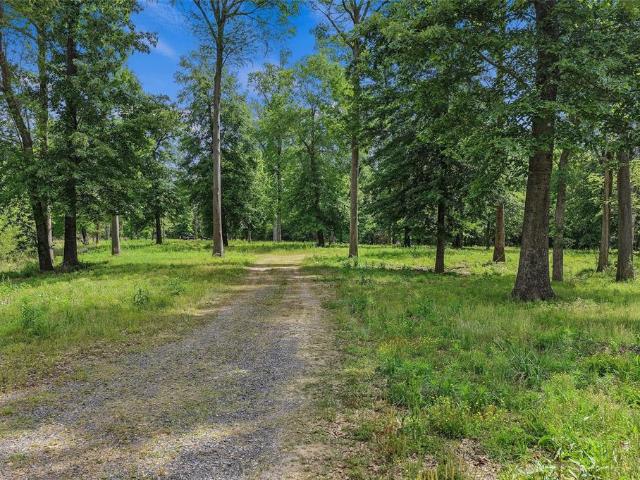Land for sale in Hudson Mast, Carthage