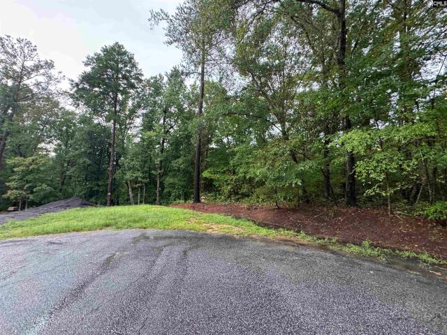 Land for sale in Winnsboro, South Carolina