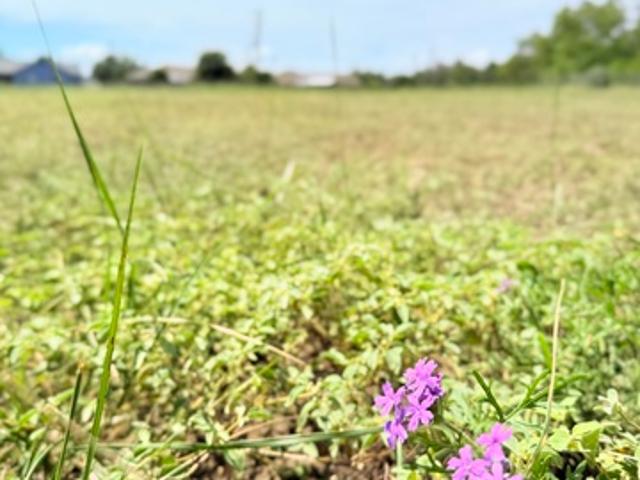 Land for sale in Bandera, Texas