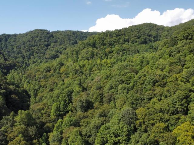 Land for sale in Virginia