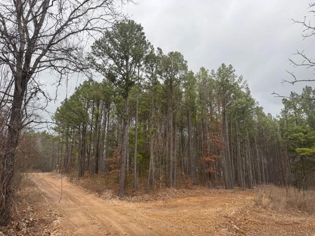 Land for sale in Ark