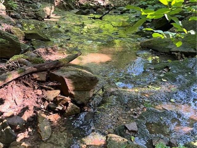 Land for sale in Ark