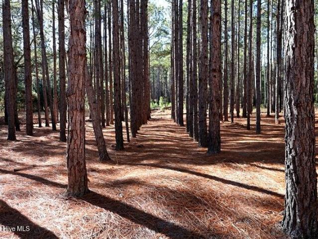 Land for sale in Fairmont, North Carolina