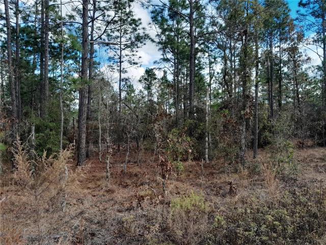Land for sale in Morriston, Florida