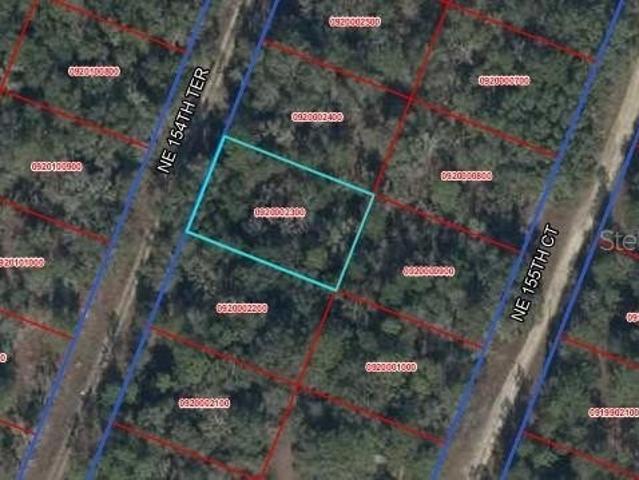 Land for sale in Williston, Levy County