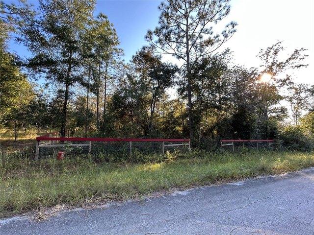 Land for sale in Morriston, Florida