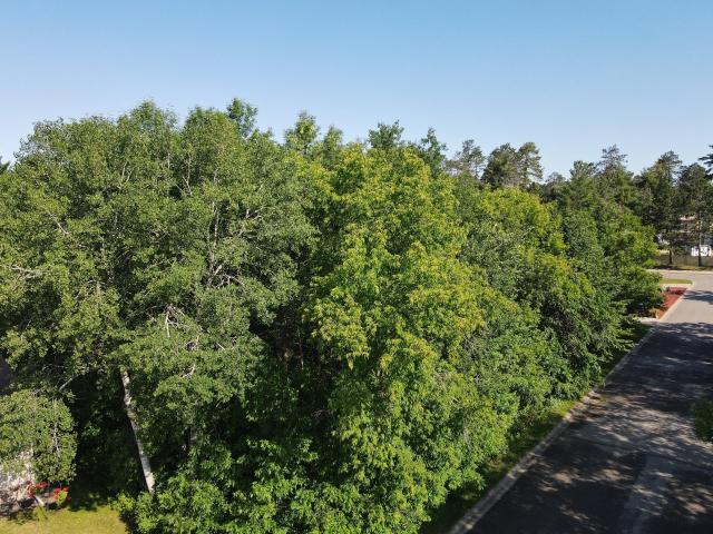 Land for sale in Grand Rapids, Minnesota