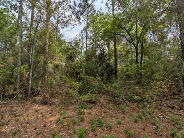 Land for sale in Anthony, Florida