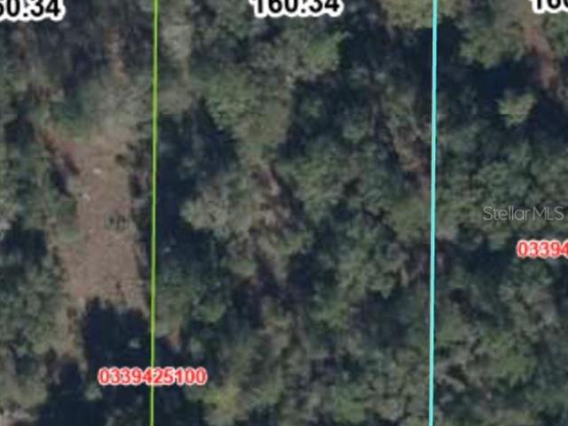 Land for sale in Bronson, Florida