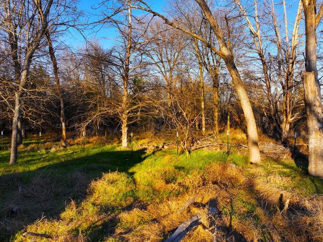 Land for sale in Navarro, Texas
