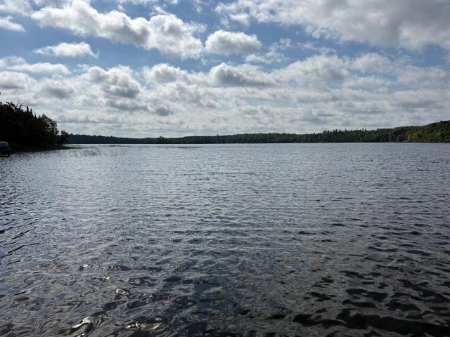 Land for sale in Bemidji, Beltrami County