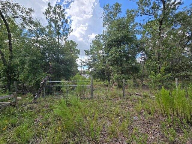 Land for sale in Bronson