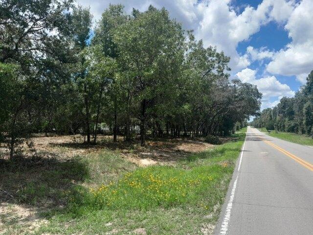 Land for sale in Bronson