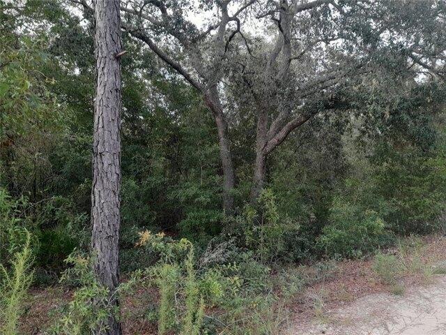 Land for sale in Bronson