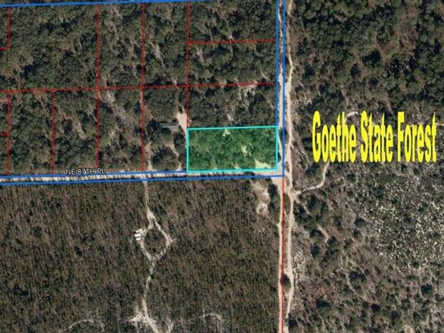 Land for sale in Bronson