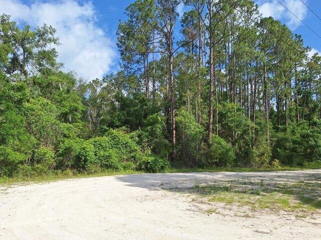 Land for sale in Old Town, Florida