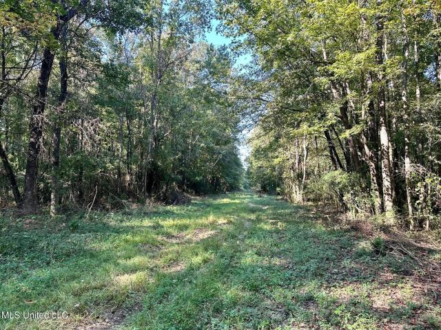Land for sale in Bogue Chitto, Mississippi