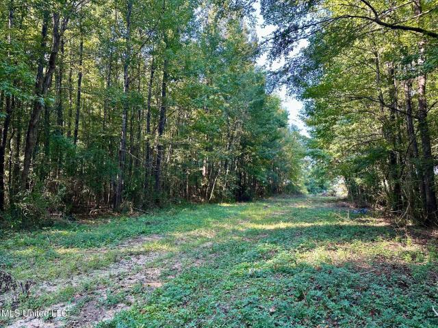 Land for sale in Bogue Chitto, Mississippi