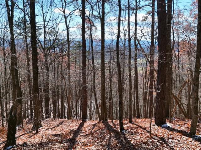 Land for sale in Virginia