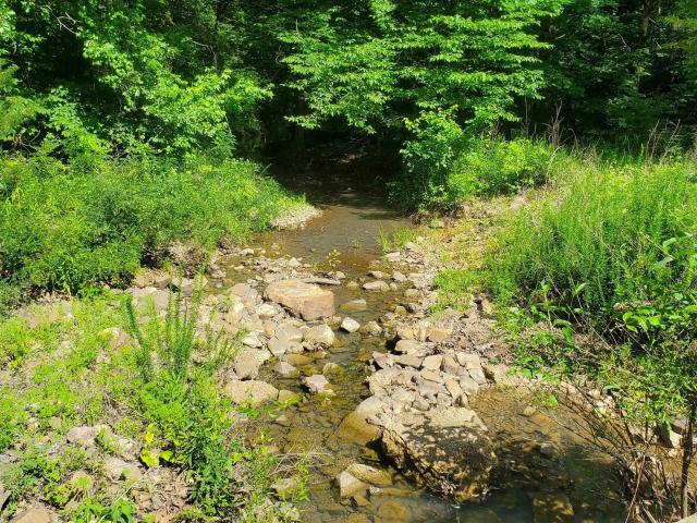 Land for sale in Blansett, Waldron