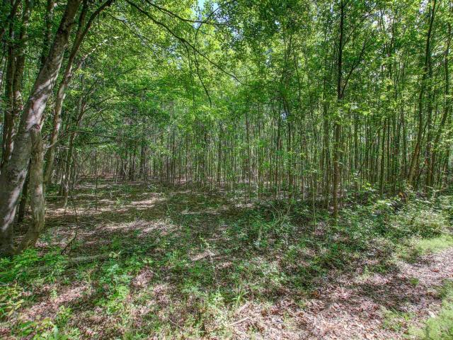 Land for sale in Reevesville, Dorchester County