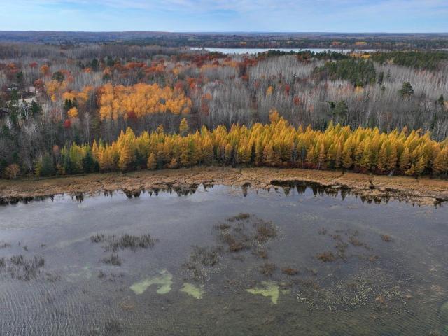 Land for sale in Hubbard, Minnesota