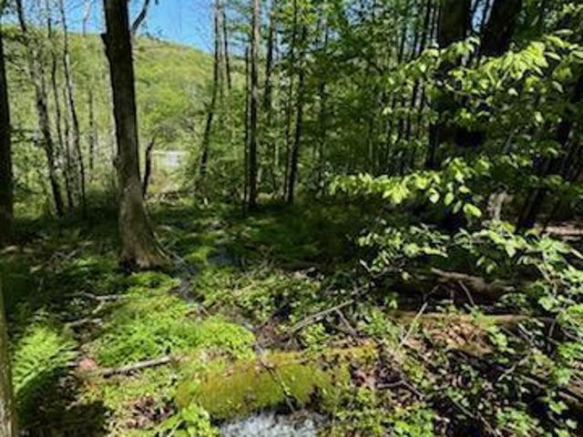 Land for sale in Arkville, New York