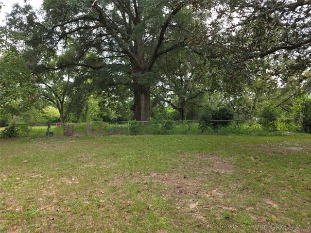 Land for sale in Dale, Alabama