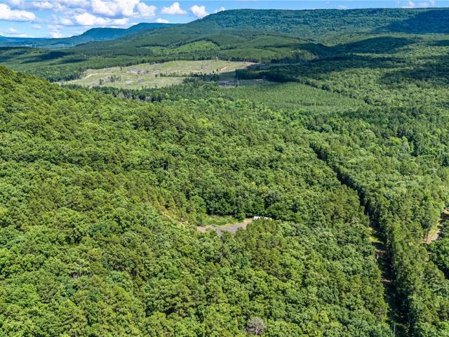 Land for sale in Ark