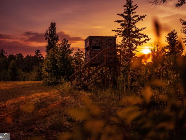 Land for sale in Dodge, Georgia