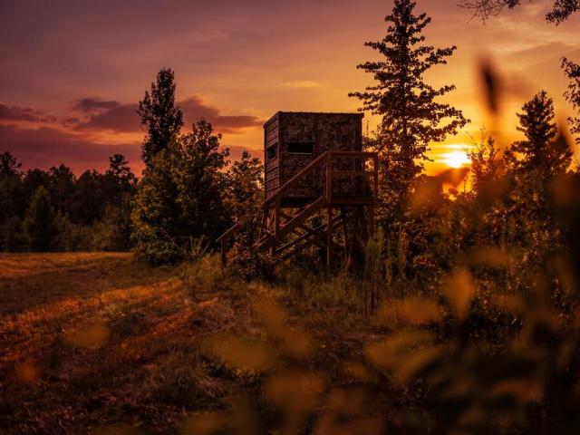 Land for sale in Dodge, Georgia