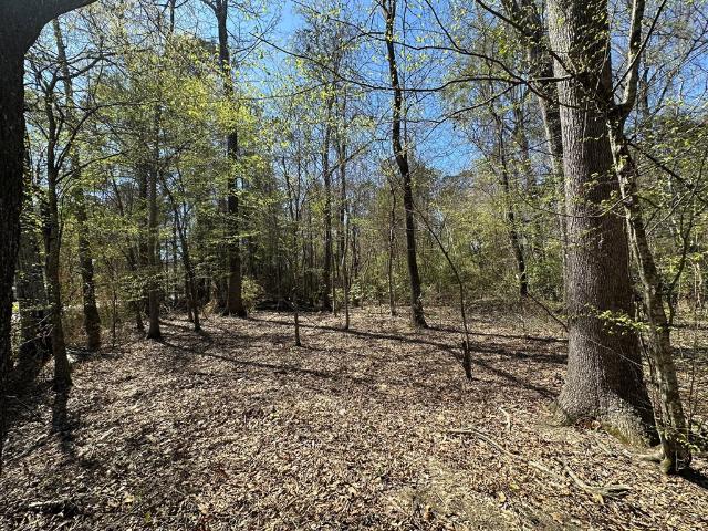 Land for sale in Brookhaven