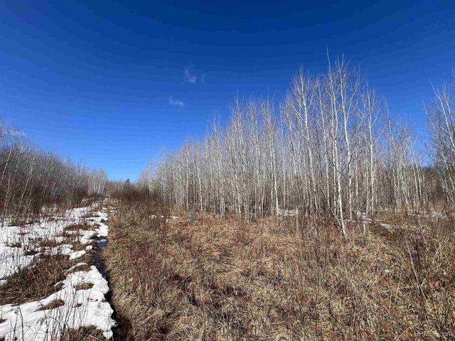 Land for sale in Iron River, Michigan