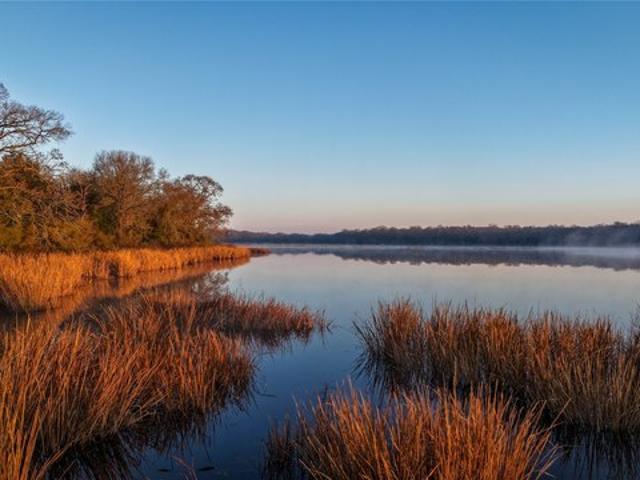 Land for sale in Leon, Texas