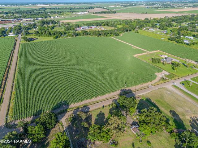 Land for sale in Iberia, Louisiana