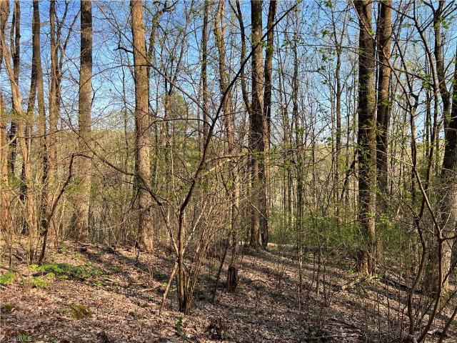 Land for sale in Carroll County, Virginia