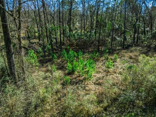 Land for sale in Ark