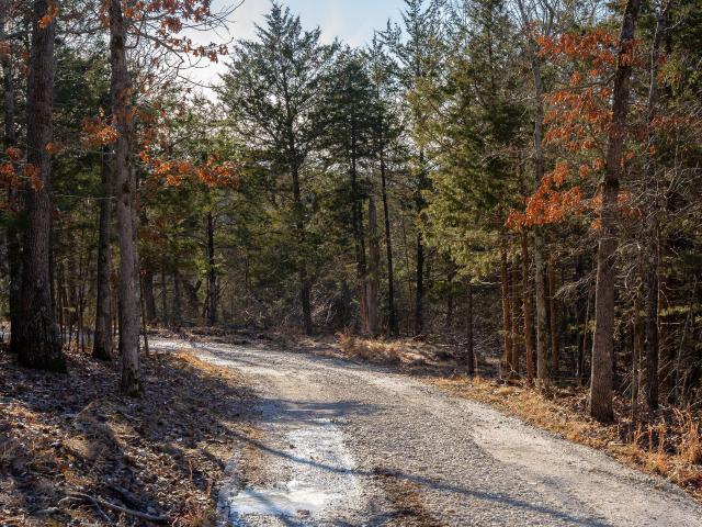 Land for sale in Kimberling City, Stone County