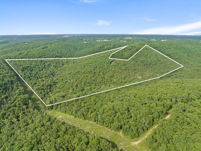 Land for sale in Stone, Missouri