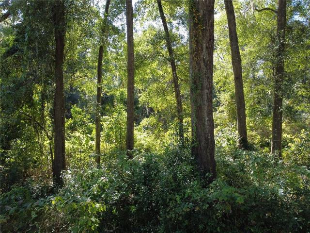 Land for sale in High Springs, Florida