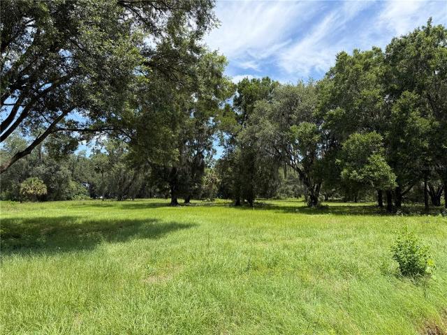 Land for sale in Reddick, Florida