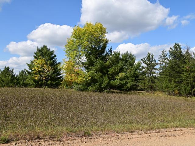Land for sale in Todd, Minnesota